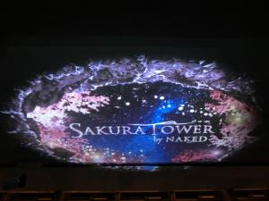 tv-sakura-2.jpg